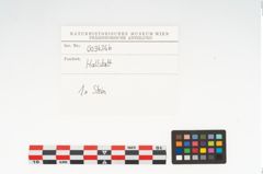 Etikett zu Reibstein (NHMW-PRAE-003434b)